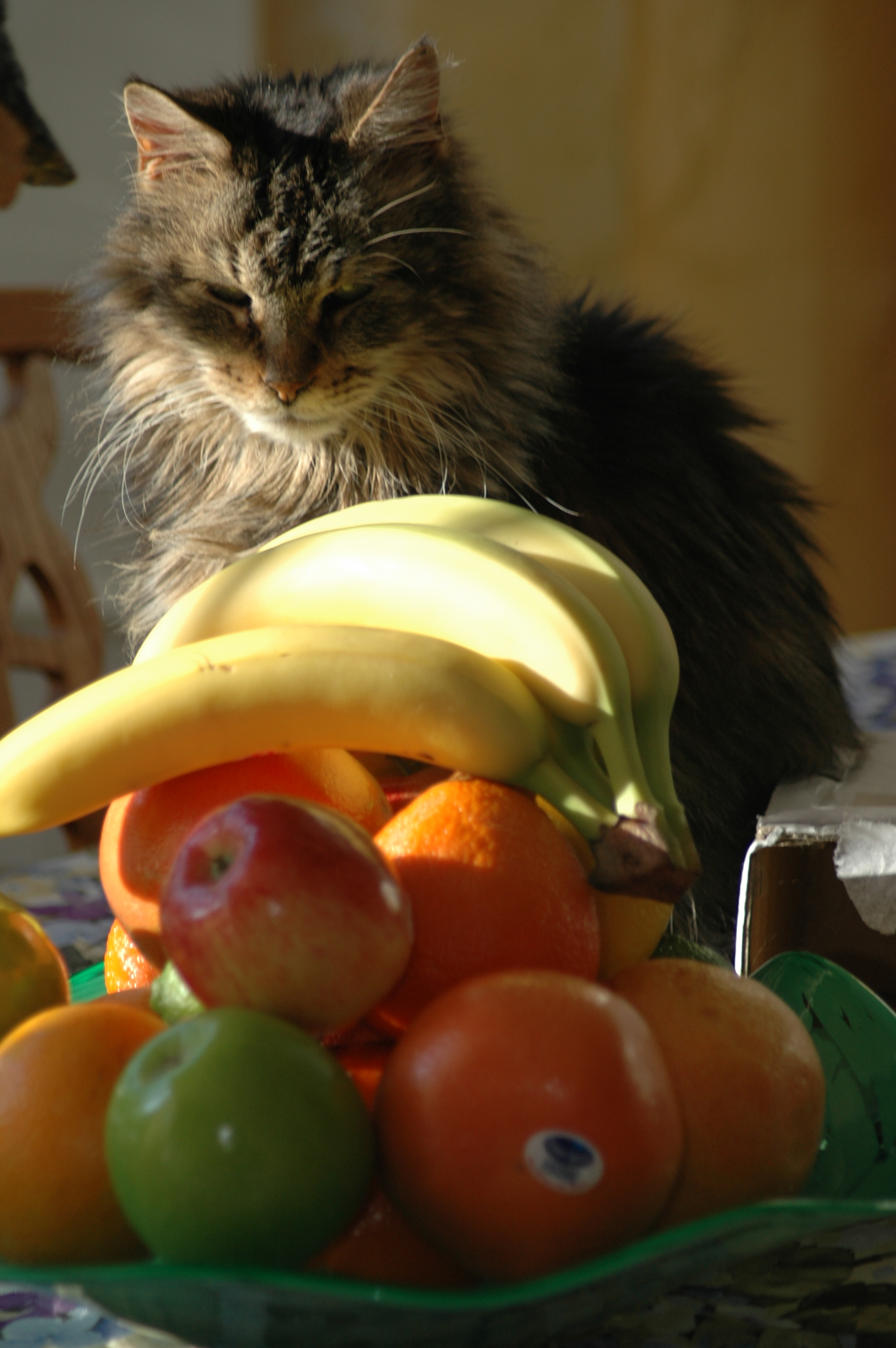 Worf With Fruit